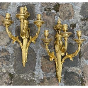 Pair Of Louis XVI Period Sconces In Chiseled And Gilded Bronze With 3 Arms Of Light