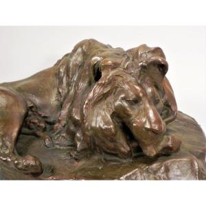 Josuë Dupon  (1864-1935)  - Lying Lion  Bronze (ca 1908) 