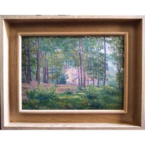 Forest Near Meudon (versailles), Oil On Panel By Fritz Van Loo (1871–1957)
