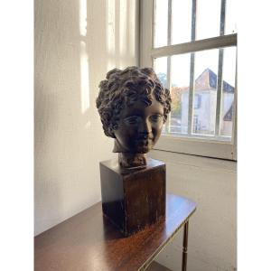 Ancient Plaster Head XXth Century