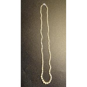 Cultured Pearl Drop Necklace 20th