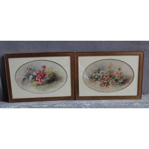Watercolors Of Flowers 1920/1930