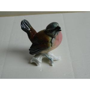 Karl Ens Robin