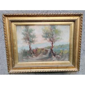 Mediterranean Landscape