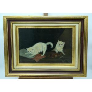 Playing Cats Painting French School 1900