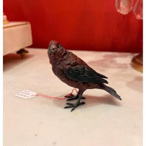 Vienna Bronze - Bergmann - Pine Grosbeak