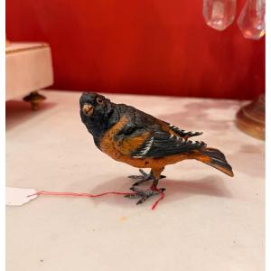 Vienna Bronze - Brambling Bird