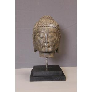Buddha Head In Stone XIX