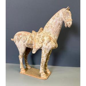 Terracotta Horse Tang Style , China Mid