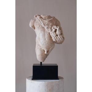 Torso Of Sylvanus