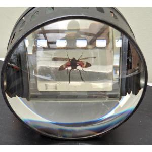 Unique Optical Construction