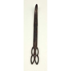  Early Period Surgical Scissors