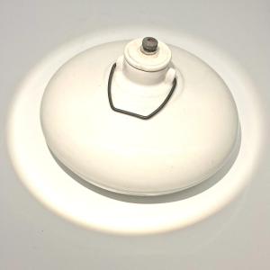 Porcelain Foot Warmer Called "stone Pig"