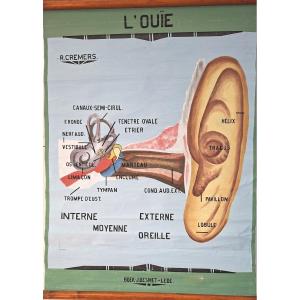 The Painter Roger Cremers Is Featured.