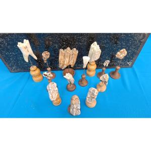 Eleven Fossil Teeth Welcome To The Ice Age