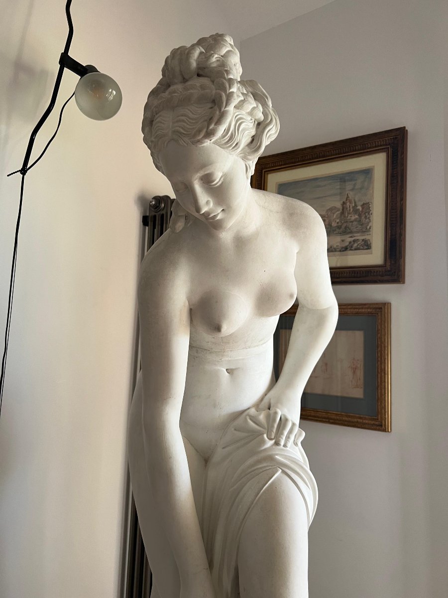 Scultura in gesso raffigurante Venere. Italia, fine XIX secolo.-photo-2