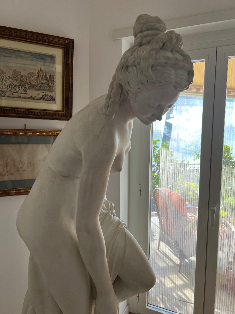 Scultura in gesso raffigurante Venere. Italia, fine XIX secolo.-photo-4