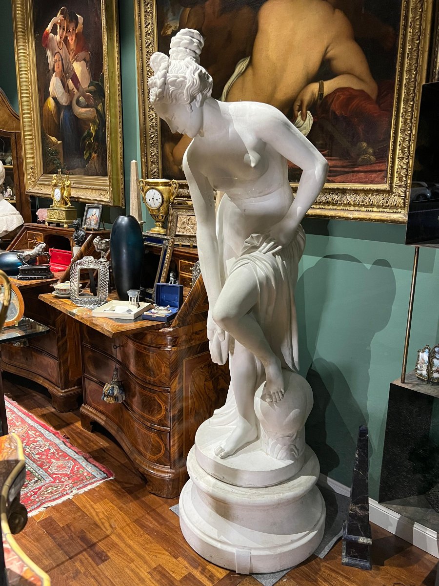 Scultura in gesso raffigurante Venere. Italia, fine XIX secolo.-photo-6