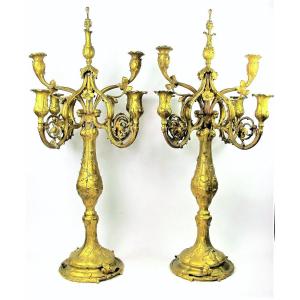 Very Large Pair Of Louis XV Style Gilt Bronze Candelabra By Robert Frères In Paris