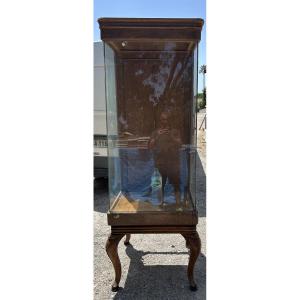 Display Case 