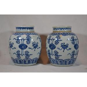 Pair Of Covered Jars In White And Blue Chinese Porcelain. 17th Century Period.