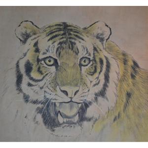 Tiger Head. Ink And Pigments On Paper. Meiji Period. Signature And Stamp. 
