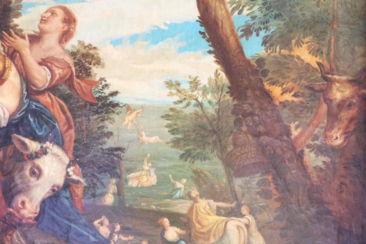 Paolo Veronese copia da; Il ratto di Europa, Collezione Duca d'Aosta, fine XIX inizi XX secolo-photo-1