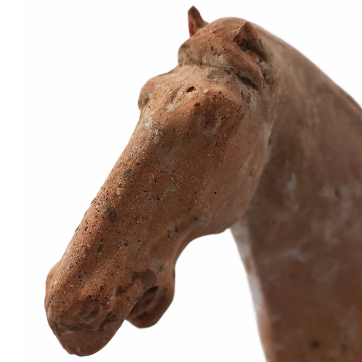 Cavaliere a cavallo in terracotta, Cina, Dinastia Tang, 618-907 D.C.-photo-3