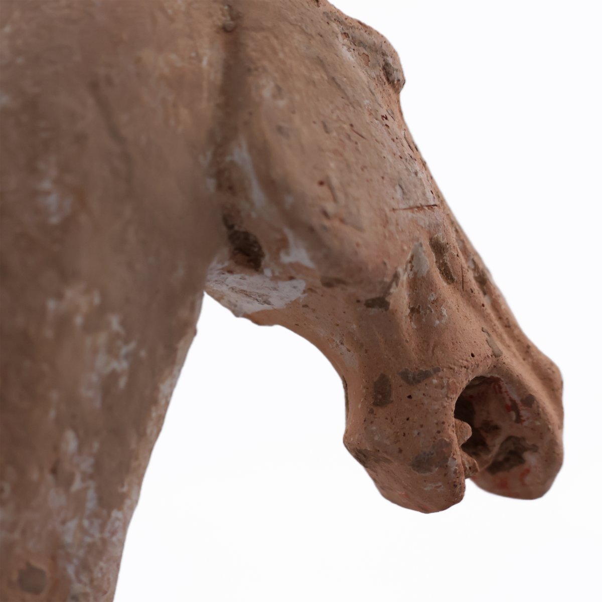 Cavaliere a cavallo in terracotta, Cina, Dinastia Tang, 618-907 D.C.-photo-4