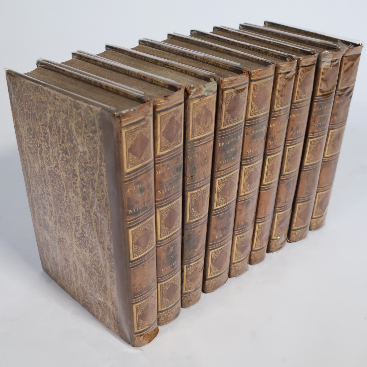 Guerin F.-E.. Dictionnaire pittoresque d'histoire naturelle.. Paris, 1833-39