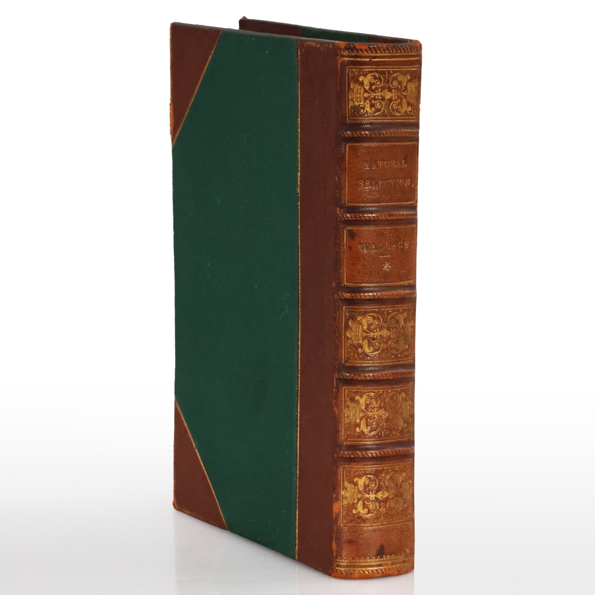 Wallace Alfred Russel. Contributions to the Theory of Natural Selection. London Macmillan  1870