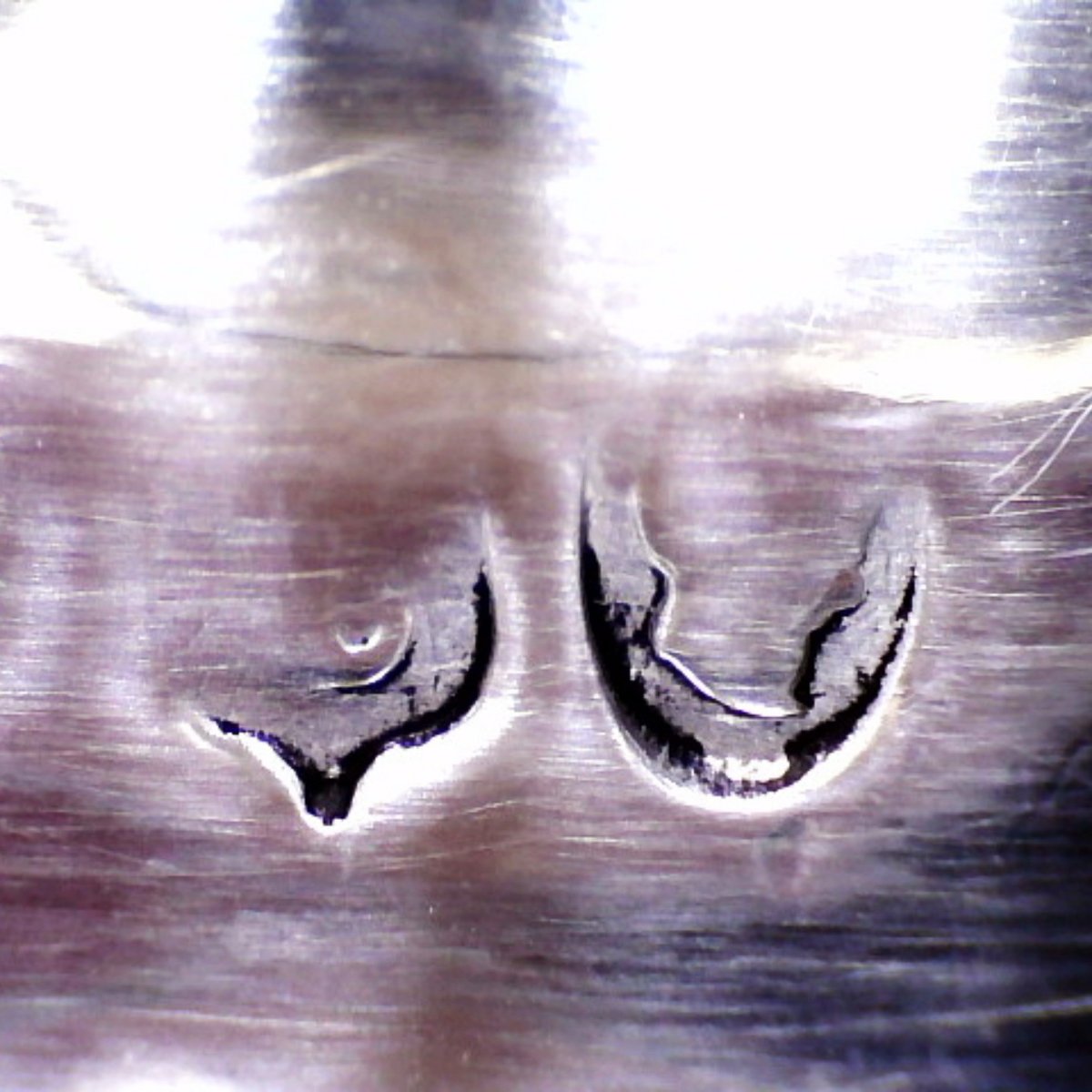 Teiera in argento sterling Guglielmo IV, Paul Storr per Storr & Mortimer, Londra, 1834?-photo-3