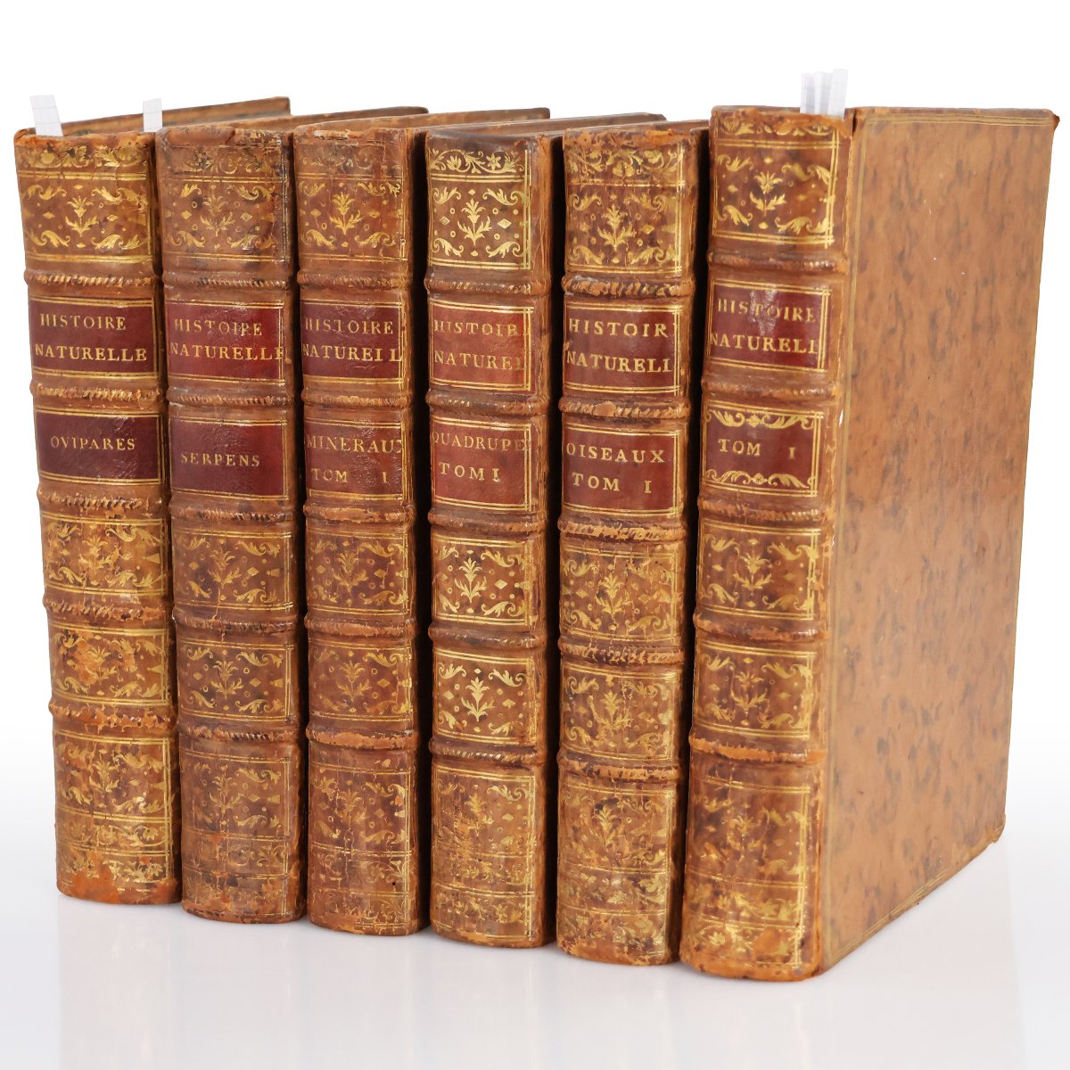 Buffon. Histoire Naturelle, Générale et Particuliére. Paris, de l'imprimerie Royale. 1770-1789-photo-2