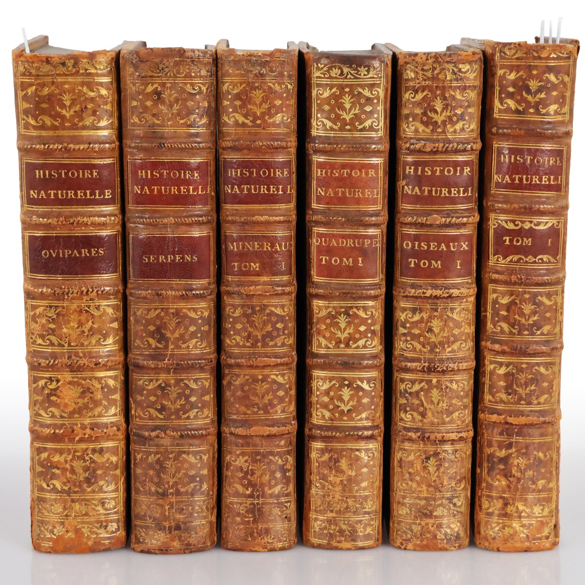 Buffon. Histoire Naturelle, Générale et Particuliére. Paris, de l'imprimerie Royale. 1770-1789-photo-3