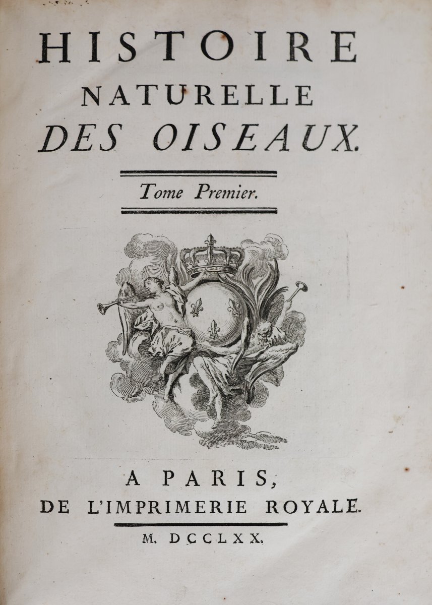 Buffon. Histoire Naturelle, Générale et Particuliére. Paris, de l'imprimerie Royale. 1770-1789-photo-2