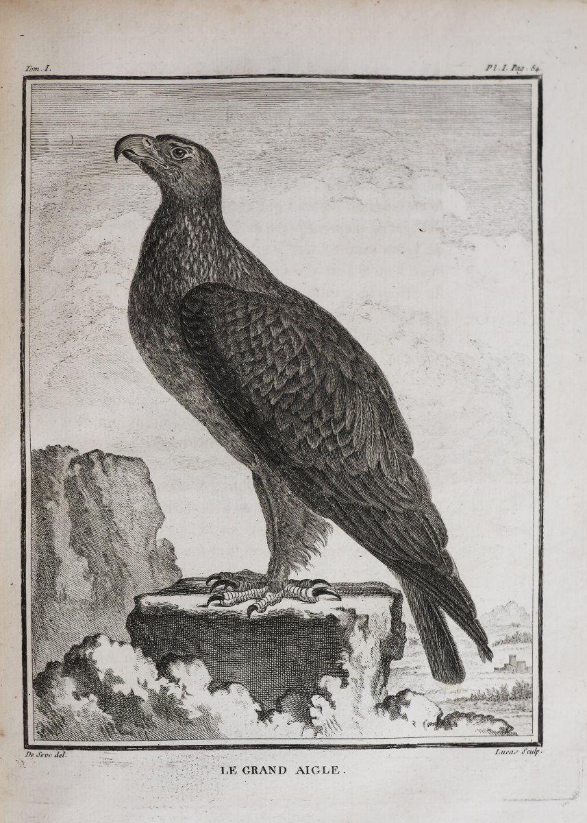 Buffon. Histoire Naturelle, Générale et Particuliére. Paris, de l'imprimerie Royale. 1770-1789-photo-3