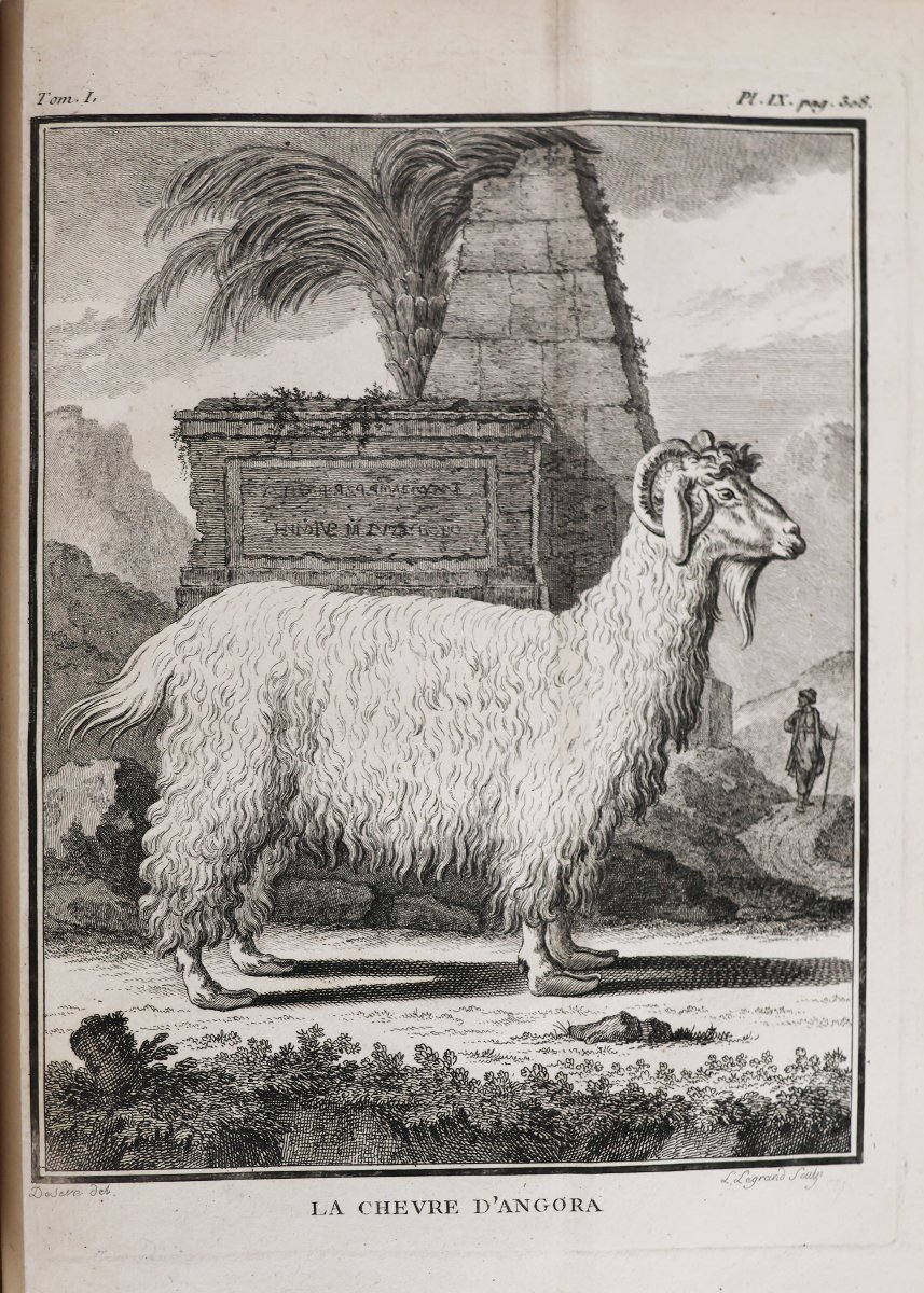 Buffon. Histoire Naturelle, Générale et Particuliére. Paris, de l'imprimerie Royale. 1770-1789-photo-5