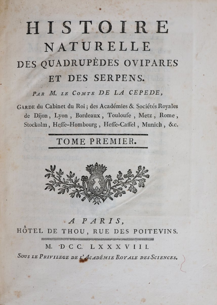 Buffon. Histoire Naturelle, Générale et Particuliére. Paris, de l'imprimerie Royale. 1770-1789-photo-7