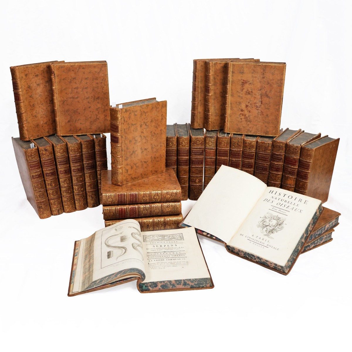 Buffon. Histoire Naturelle, Générale et Particuliére. Paris, de l'imprimerie Royale. 1770-1789