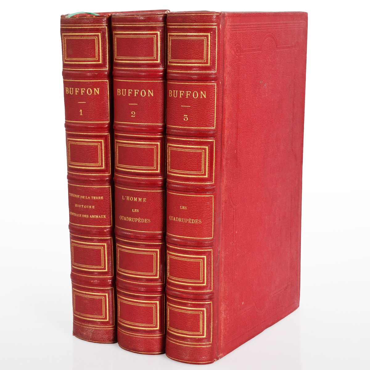 Buffon. Œuvres complètes.. avec la nomenclature linnéenne et.. de Cuvier.. Garnier-photo-2