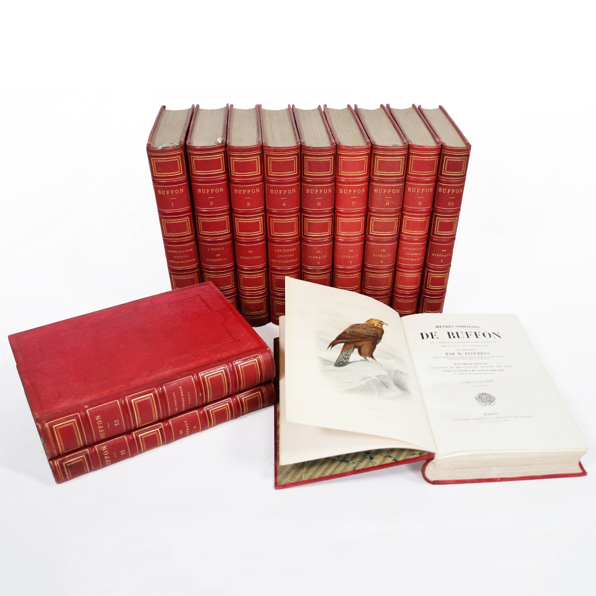 Buffon. Œuvres complètes.. avec la nomenclature linnéenne et.. de Cuvier.. Garnier