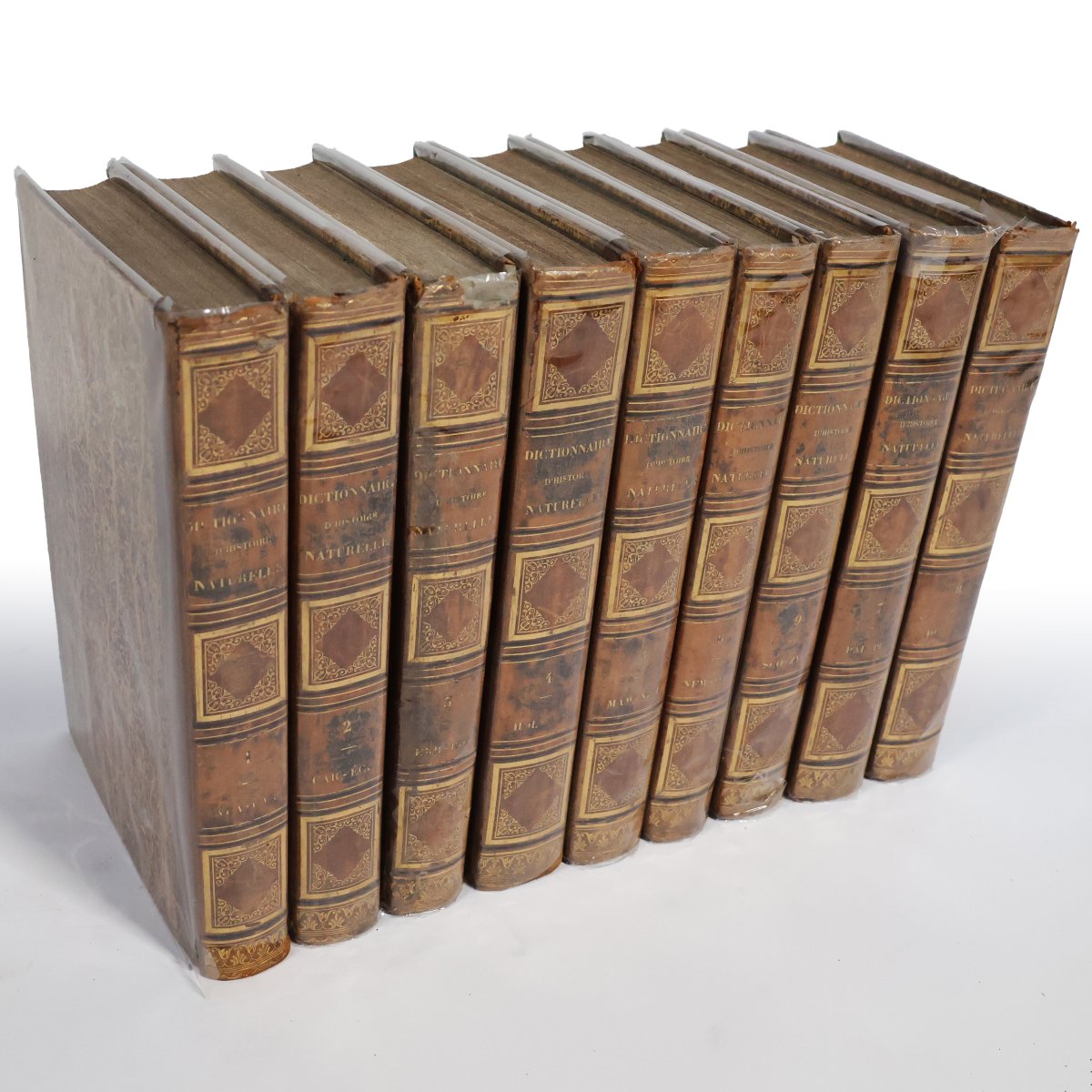 Guerin F.-E.. Dictionnaire pittoresque d'histoire naturelle.. Paris, 1833-39-photo-2