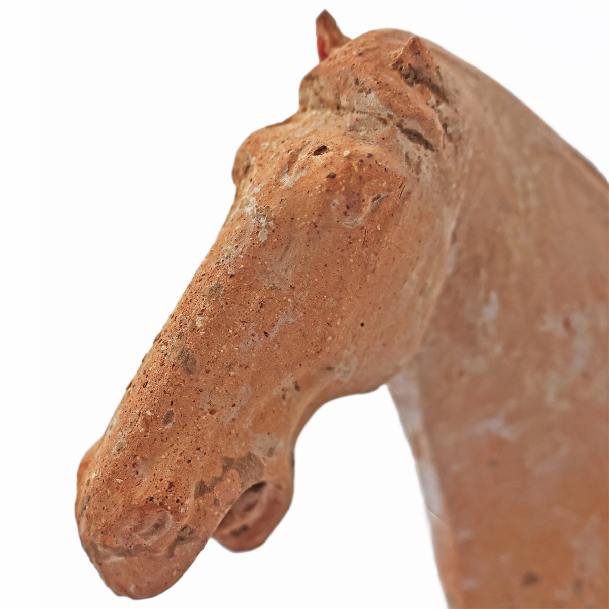Cavaliere a cavallo in terracotta, Cina, Dinastia Tang, 618-907 D.C.-photo-1