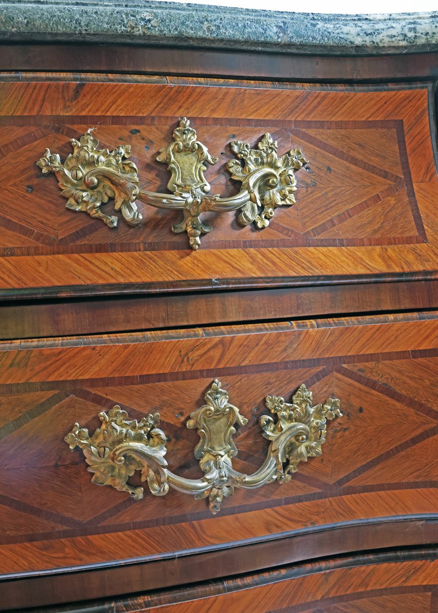Cassettone Luigi XV intarsi in legni vari applicazioni bronzo dorato. Francia metà XVIII secolo-photo-4