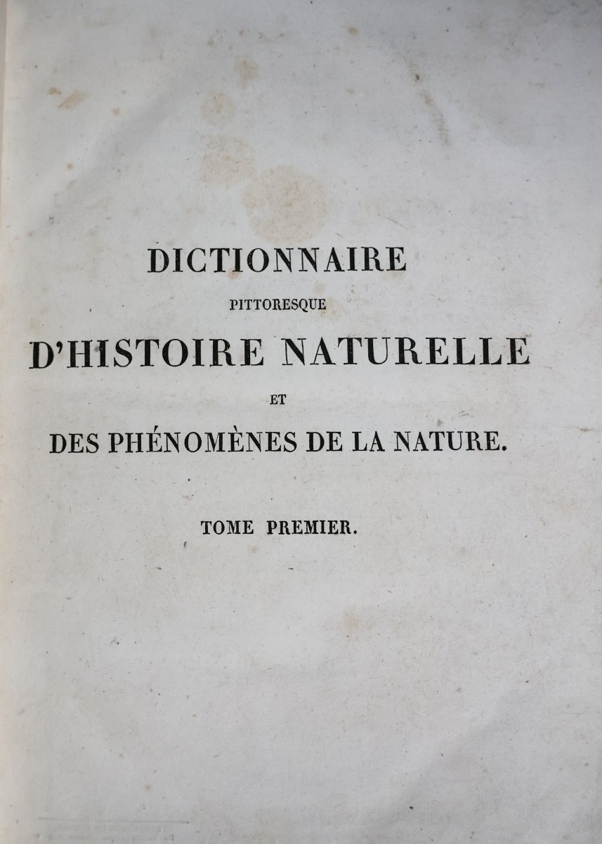 Guerin F.-E.. Dictionnaire pittoresque d'histoire naturelle.. Paris, 1833-photo-3