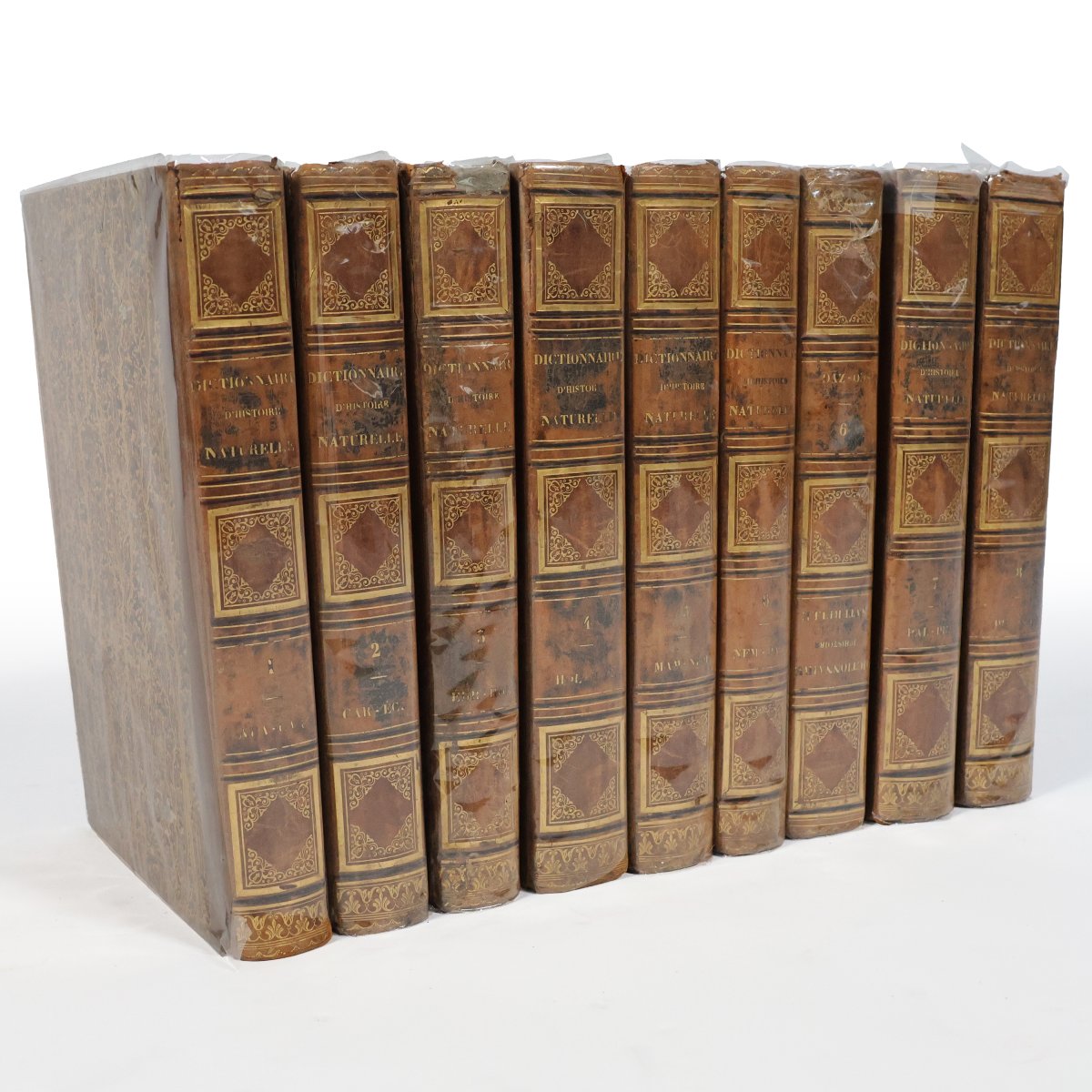 Guerin F.-E.. Dictionnaire pittoresque d'histoire naturelle.. Paris, 1833
