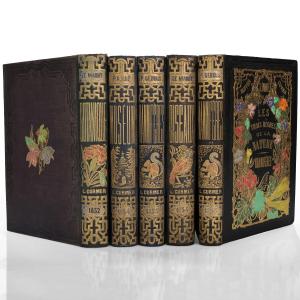 Le Maout. Les trois règnes de la nature. Paris, Curmer, 1852-54