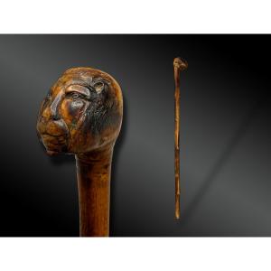 Cane - Europe - Late 19th Century