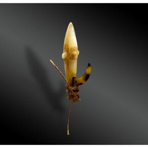 Fishhook - Malaita, Ulawa And Uki Islands Region, Solomon Islands - 20th Century