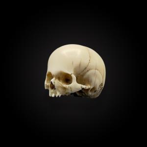 Memento Mori – Skull – Vanity Germany, 18th Century – Cites Provided